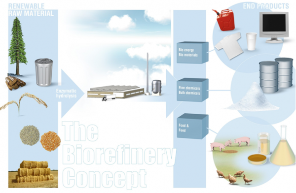 Biorefinery As A Source Of Advanced Biofuels